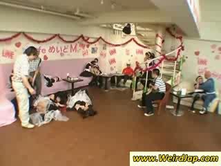 Hottie asiatiskapojke maids gets humiliated