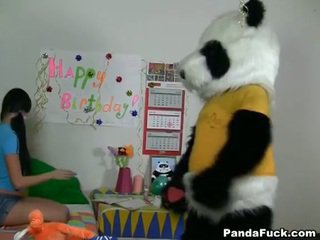 Panda gets jung teen mieze