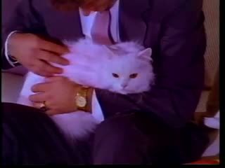The różowy pussycat (1992)