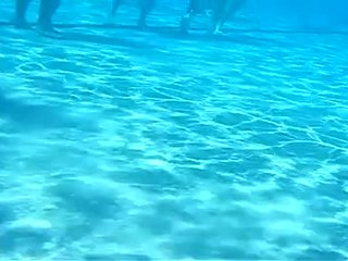 Underwater Camera Is Offering Us Nice Viewes