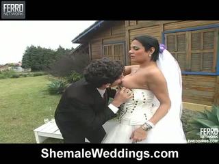 Shemale Wedding Porn - Shemale bride - Mature Porn Tube - New Shemale bride Sex Videos.