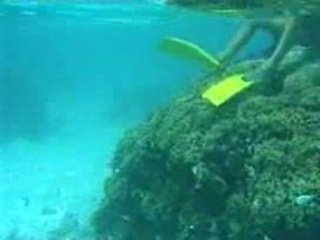 Underwater Blowjob