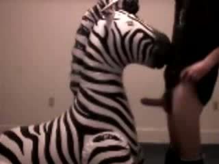 Zebra gets throat fodido por pervert guy vídeo